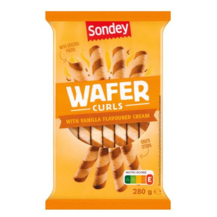 wafer